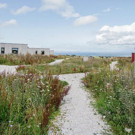 Rustic Cabins, Sea Views From Rewilded Farm With Highland Cows St Andrews Exteriér fotografie