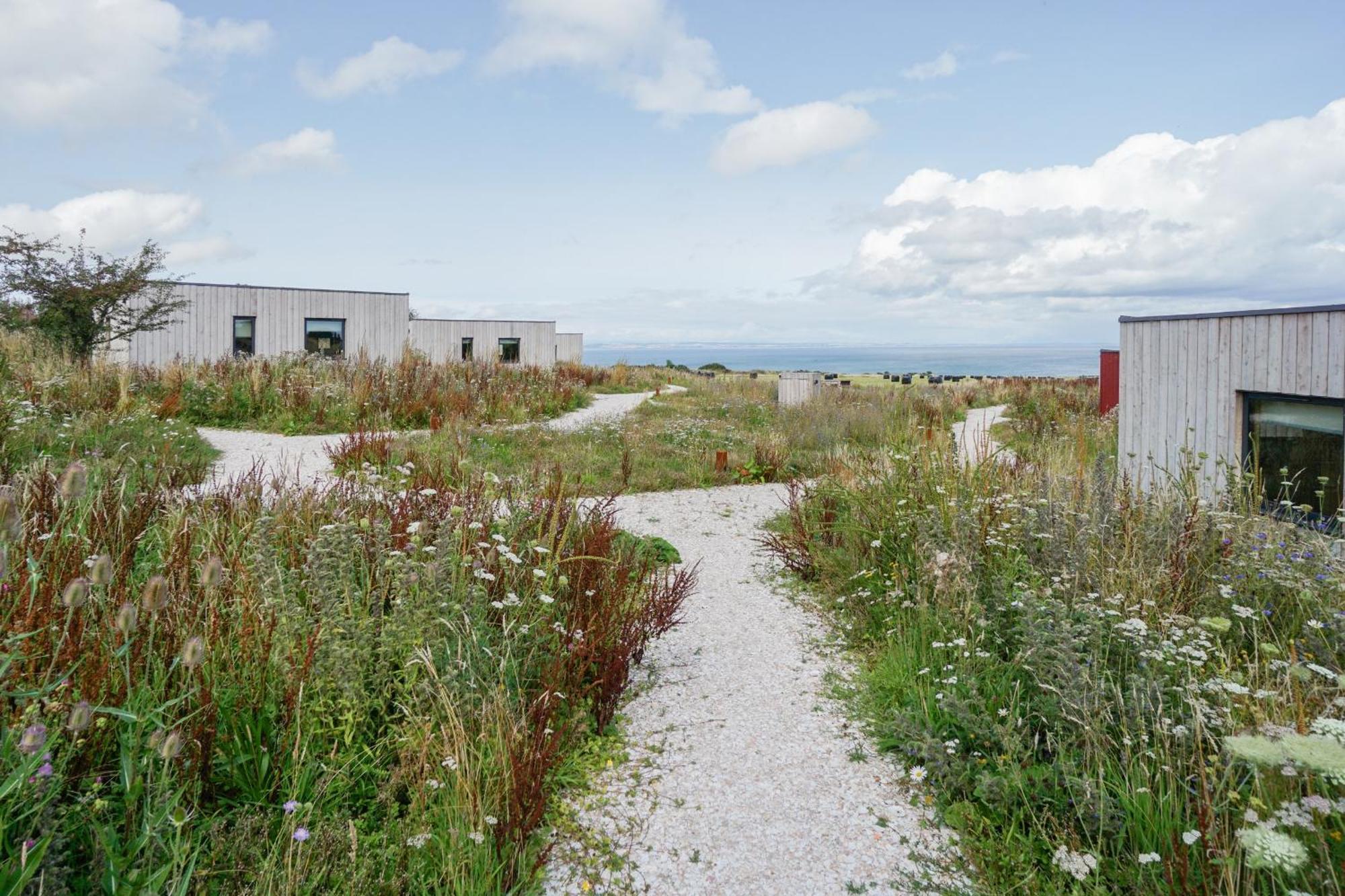 Rustic Cabins, Sea Views From Rewilded Farm With Highland Cows St Andrews Exteriér fotografie